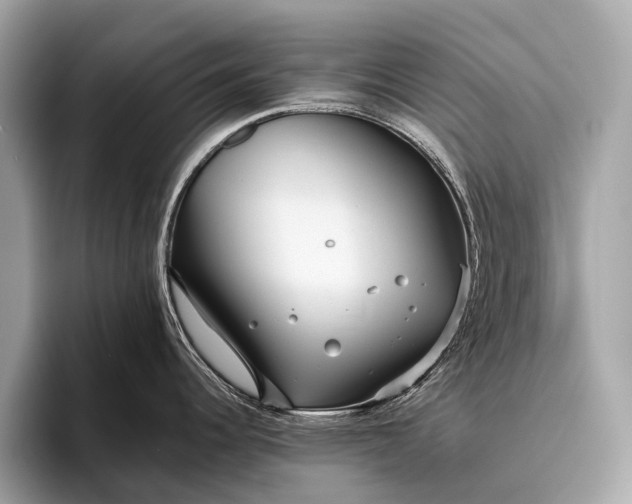 X0000095911344200801251002