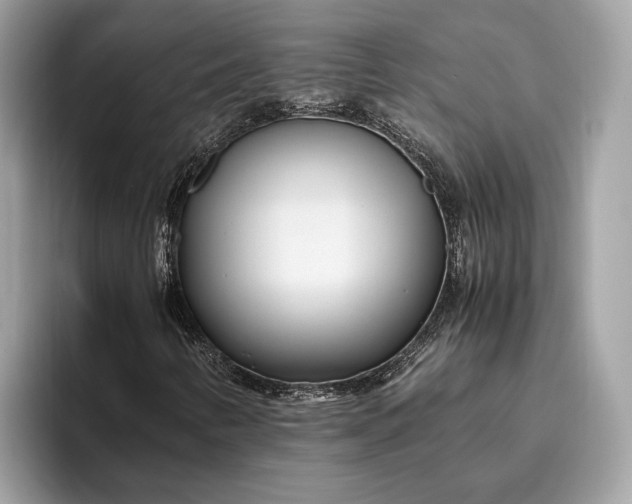 X0000095911346200801251002