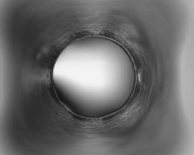 X0000095911347200801251002