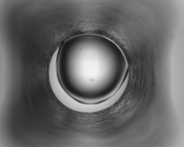 X0000095911348200801251002