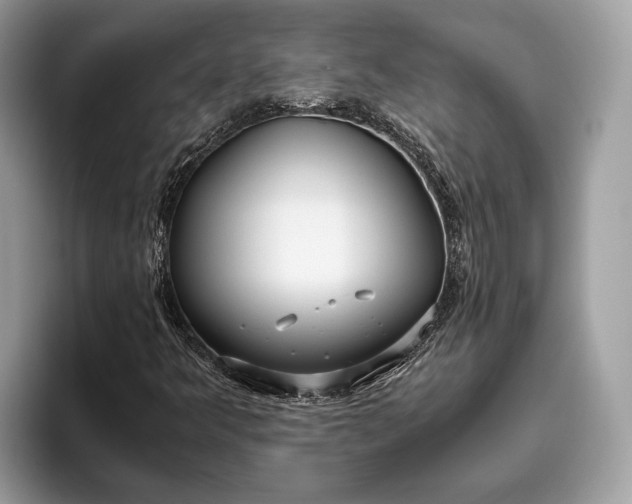 X0000095911349200801251001