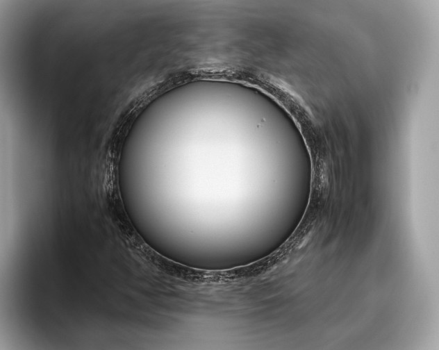 X0000095911350200801251001