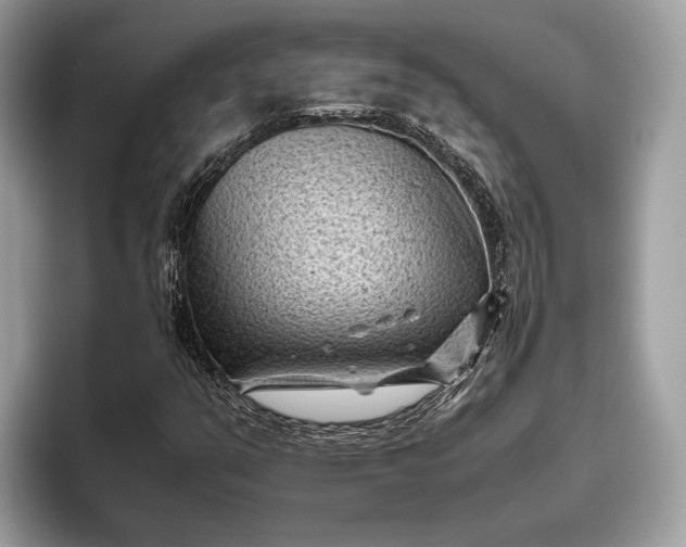 X0000095911351200801251001