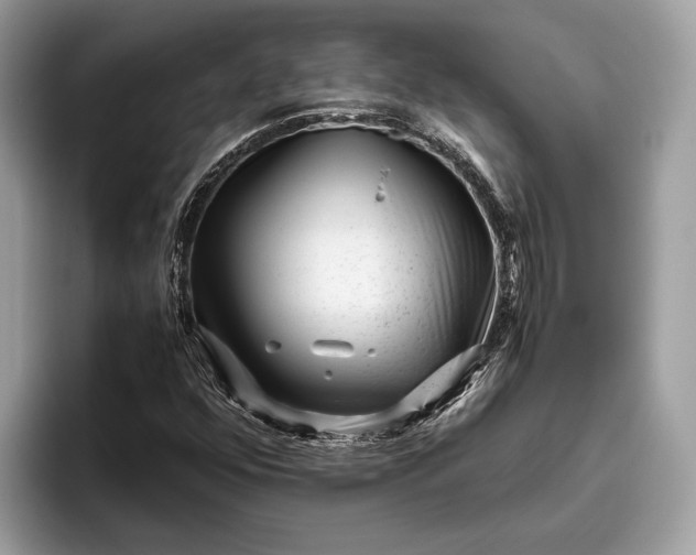 X0000095911352200801251001