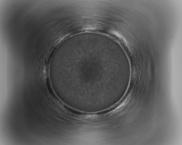 X0000095911353200801251001