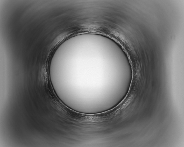 X0000095911354200801251001