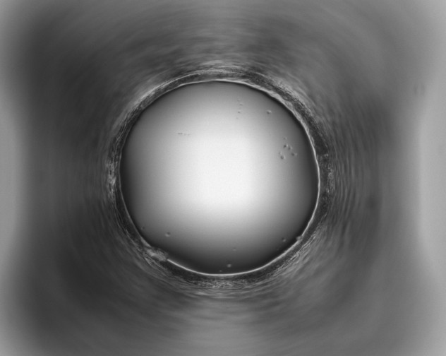 X0000095911355200801251001