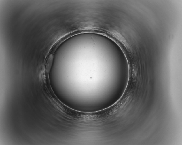 X0000095911356200801251001