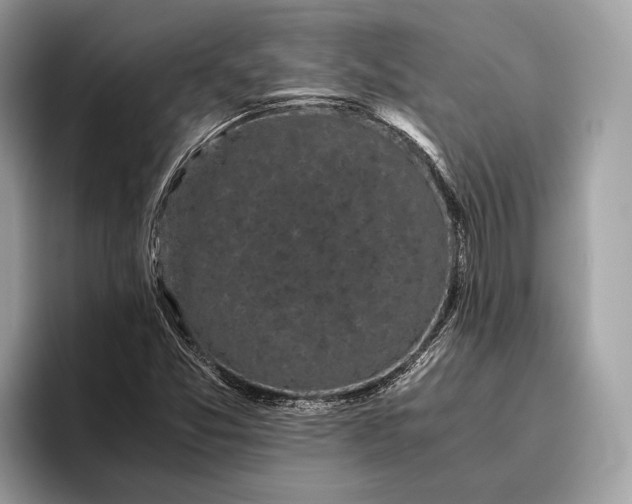 X0000095911357200801251001