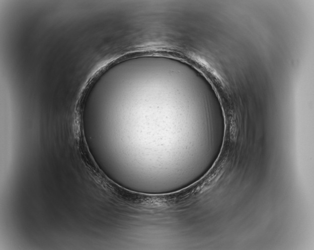 X0000095911358200801251001