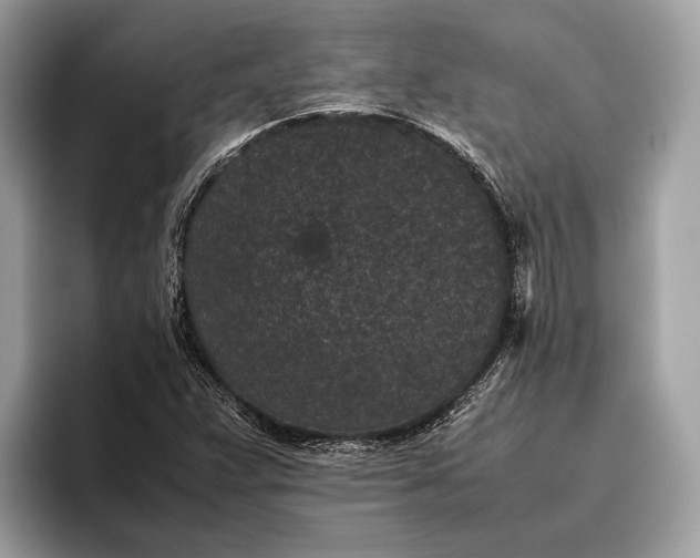 X0000095911359200801251001