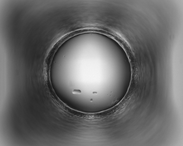 X0000095911360200801251001