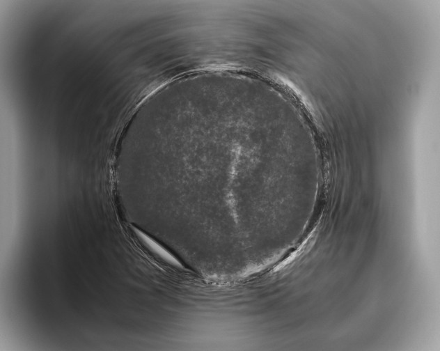 X0000095911361200801251001