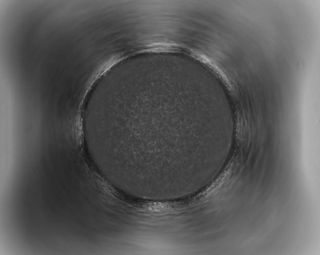 X0000095911362200801251001