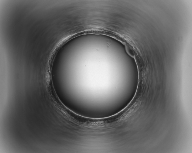 X0000095911363200801251001