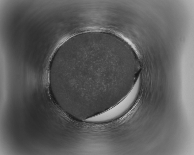 X0000095911365200801251001