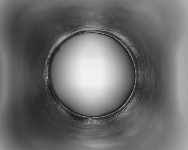 X0000095911366200801251001