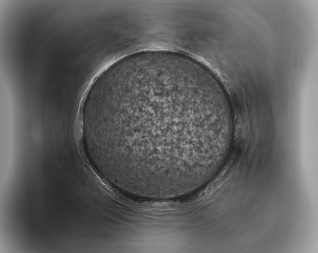 X0000095911367200801251001