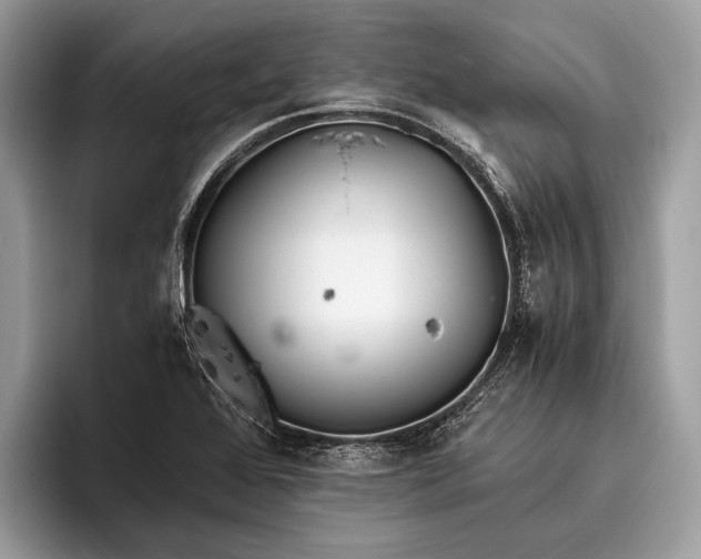 X0000095911368200801251001