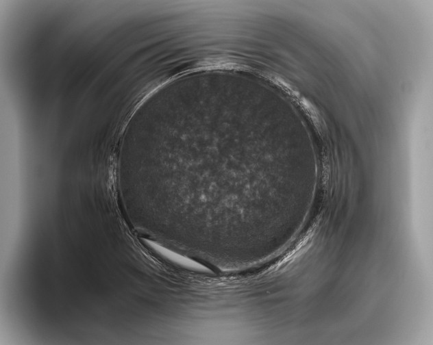 X0000095911369200801251001