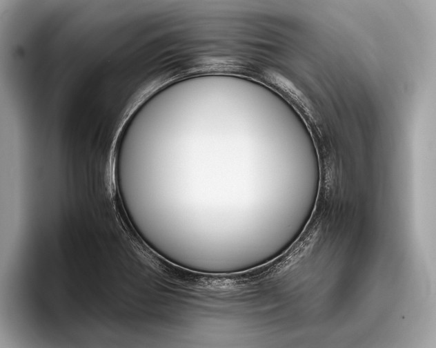 X0000095911370200801251001