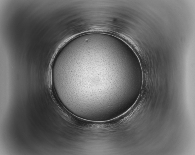 X0000095911371200801251001