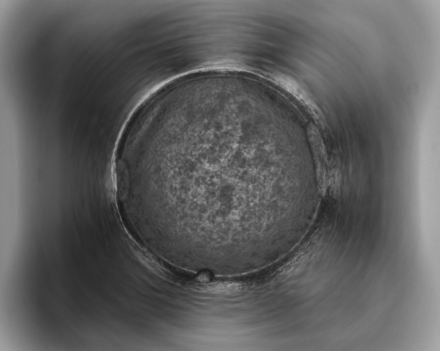 X0000095911372200801251001