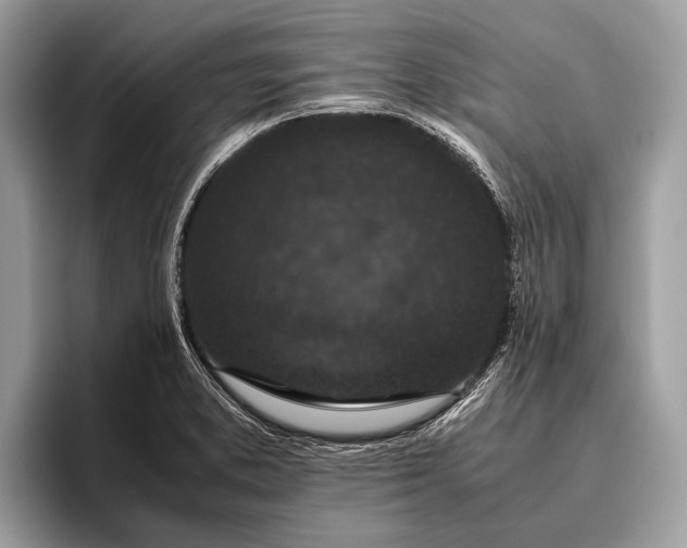 X0000095911373200801251001