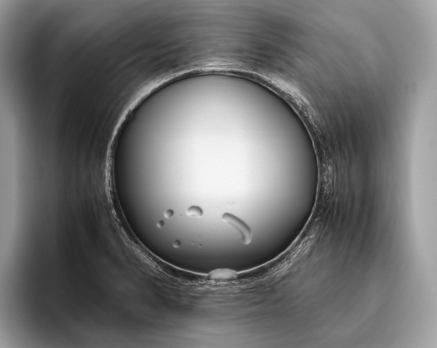 X0000095911374200801251001