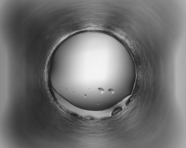 X0000095911375200801251001