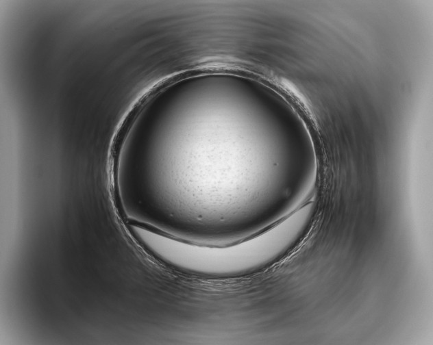 X0000095911376200801251001