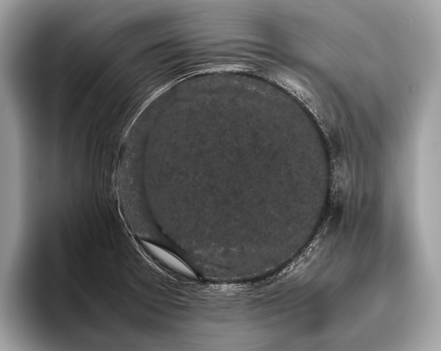 X0000095911377200801251001