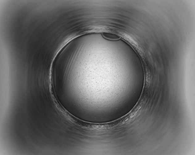 X0000095911378200801251001