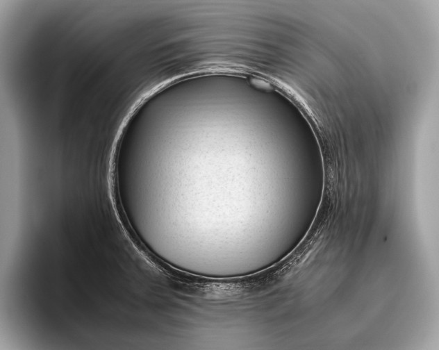 X0000095911379200801251001