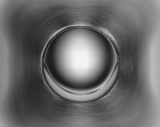 X0000095911380200801251001