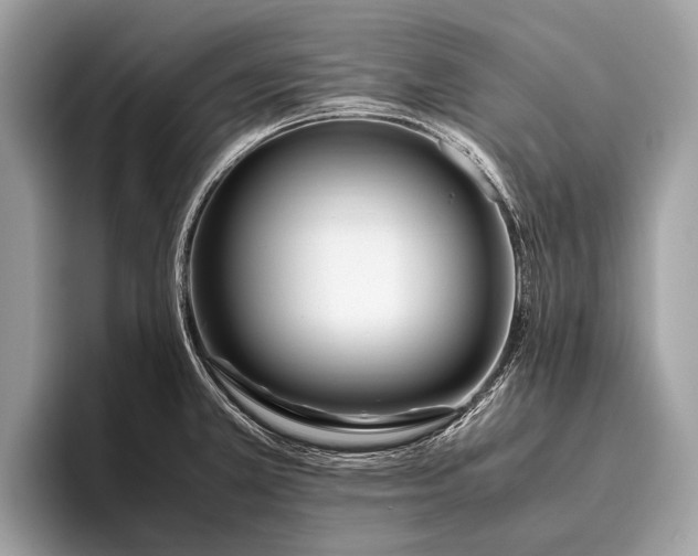 X0000095911381200801251001