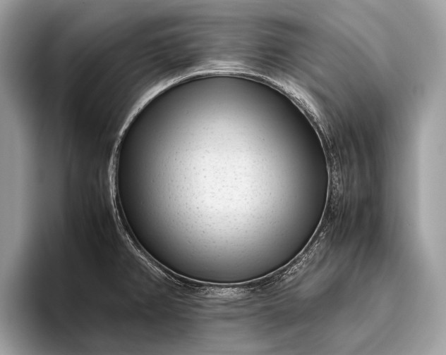 X0000095911382200801251001