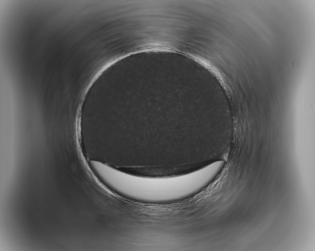 X0000095911383200801251001