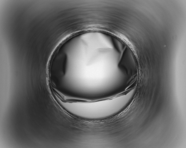 X0000095911384200801251001