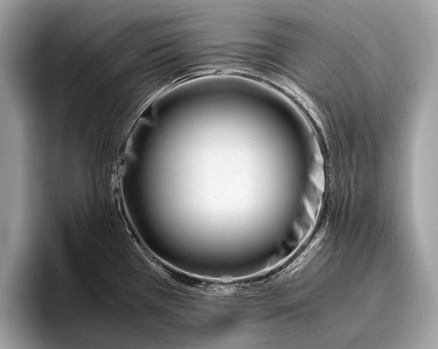 X0000095911385200801251001