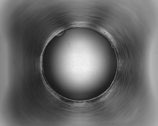 X0000095911386200801251001