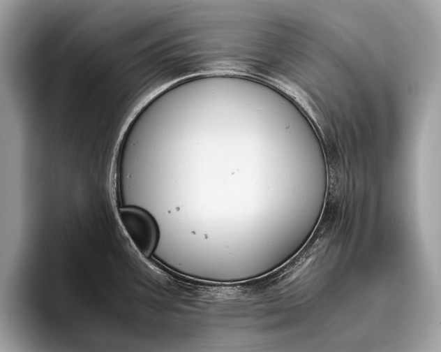 X0000095911387200801251001