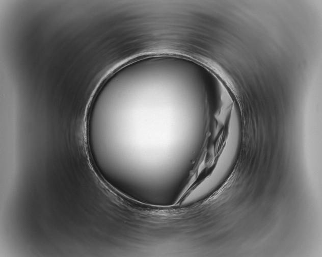 X0000095911388200801251001