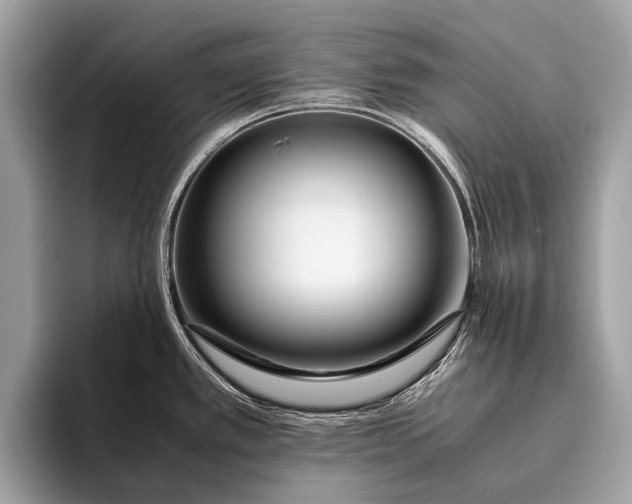 X0000095911389200801251001