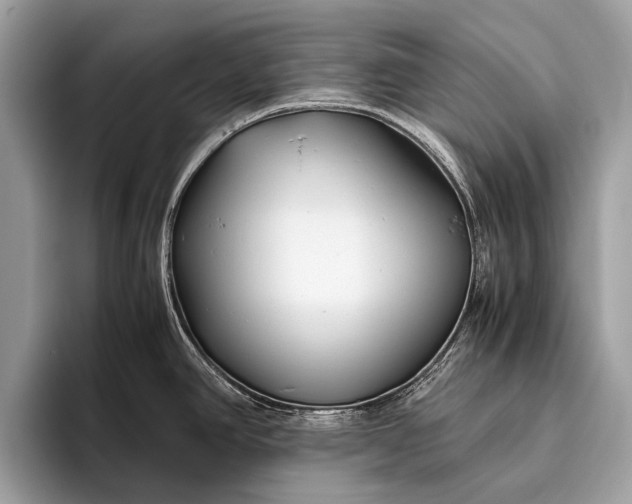 X0000095911390200801251001