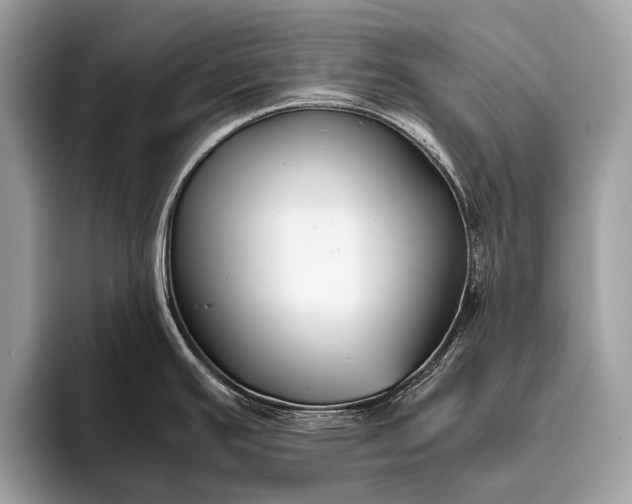 X0000095911391200801251001