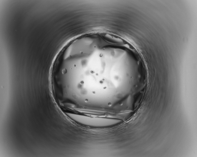 X0000095911392200801251001