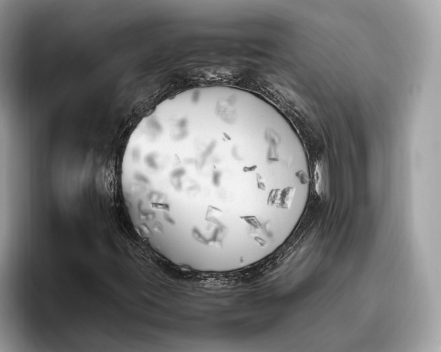 X0000095911395200801251000