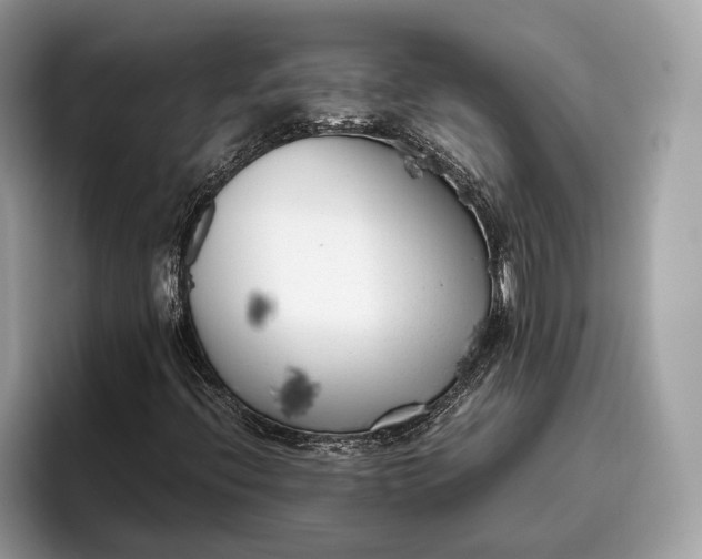 X0000095911396200801251000