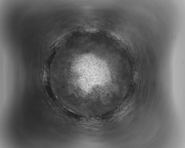 X0000095911397200801251000